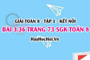 Giải bài 3.36 trang 73 Toán 8 Tập 1 SGK Kết nối tri thức